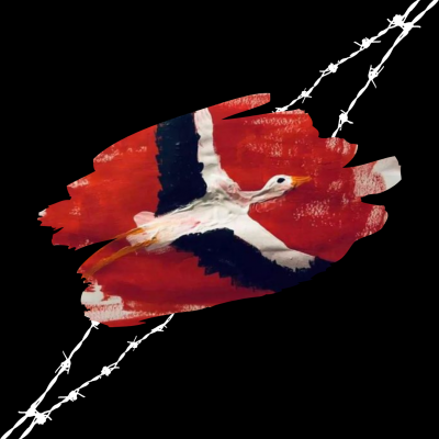 "Буслы ляцяць" - интервью со сбежавшим фигурантом дела